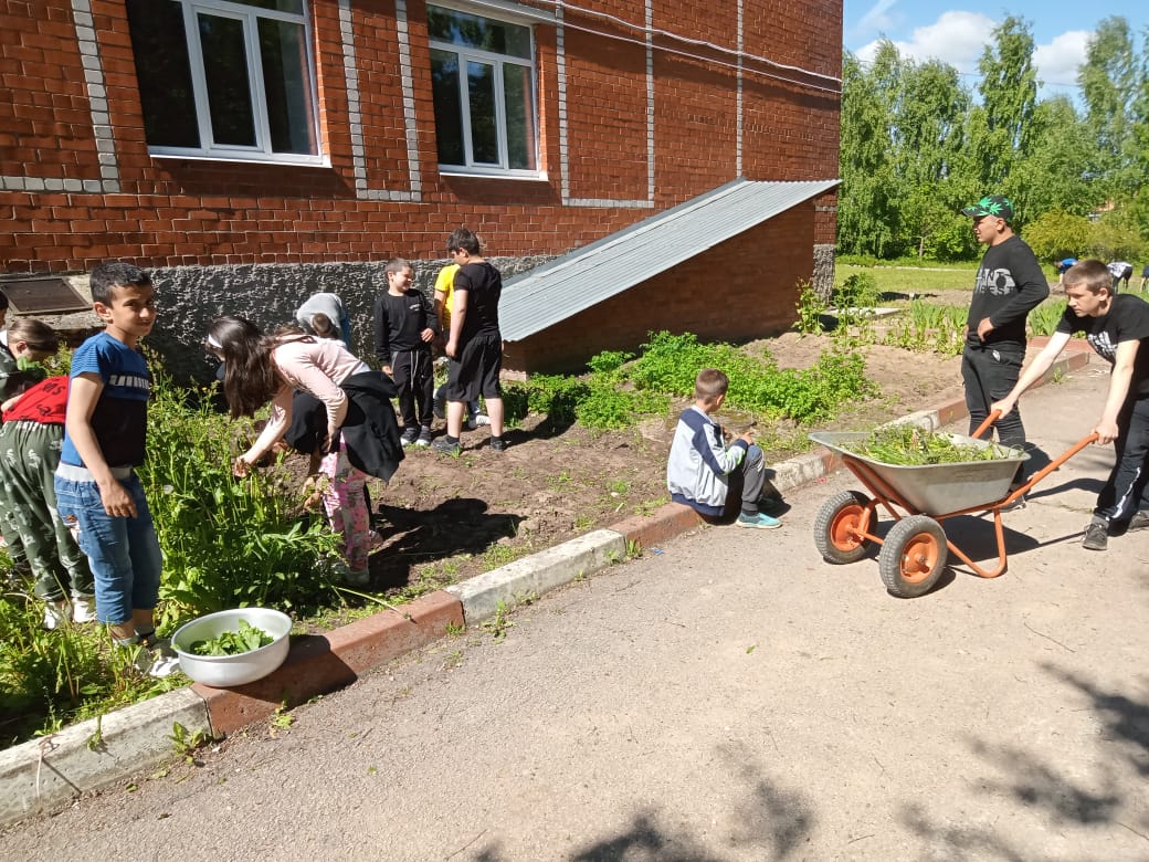 Общественно полезный труд